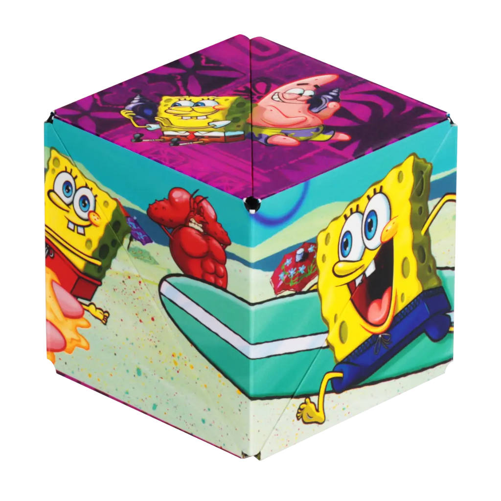 SpongeBob Series X5